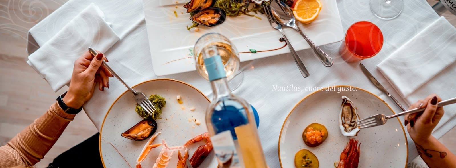 Nautilus
