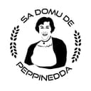 Logo of Sa Domu de Peppinedda