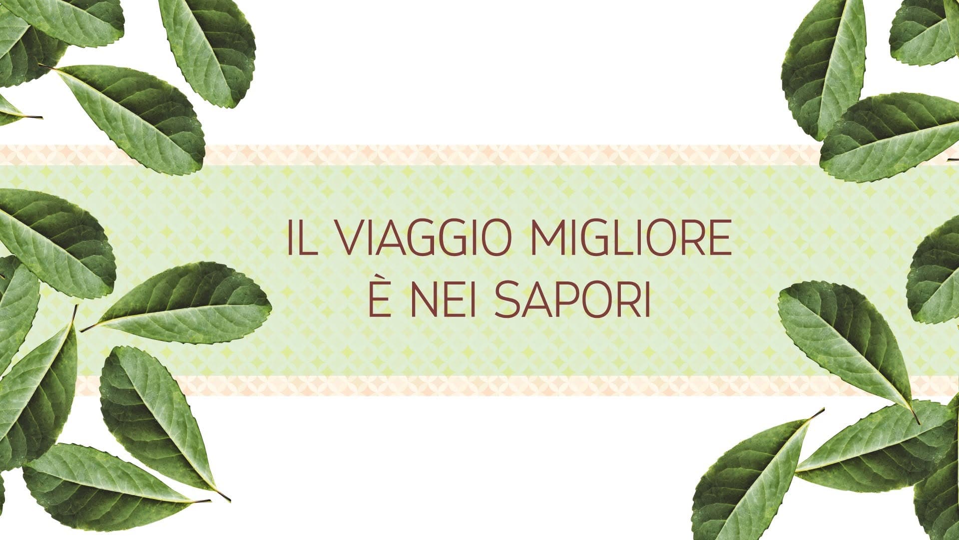 Morizzio