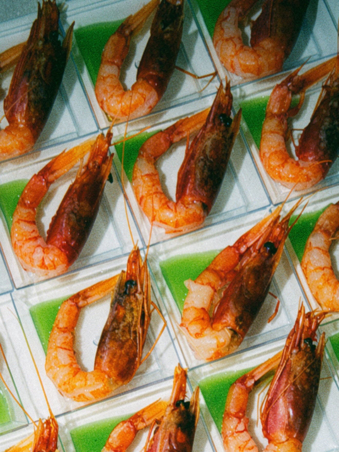 Menu cover